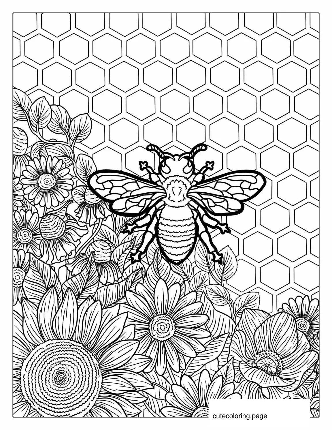 Intricate Bee Coloring Sheet For Adults coloring page