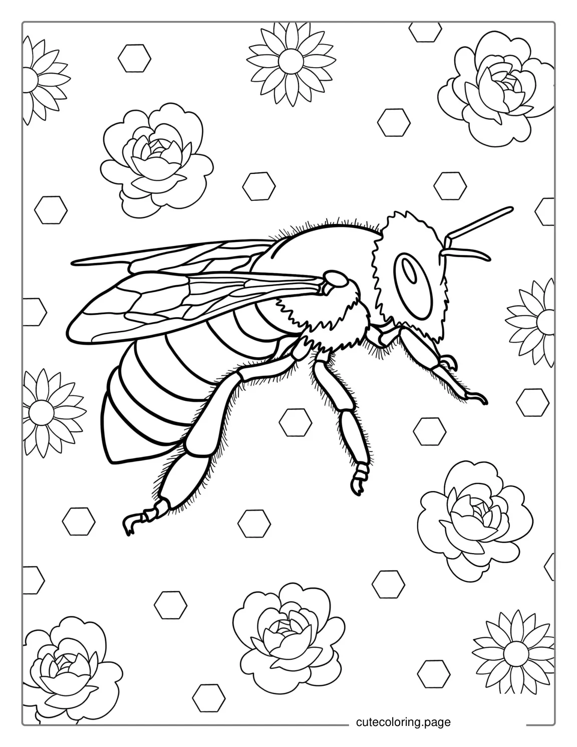 Realistic Bee Coloring Page coloring page