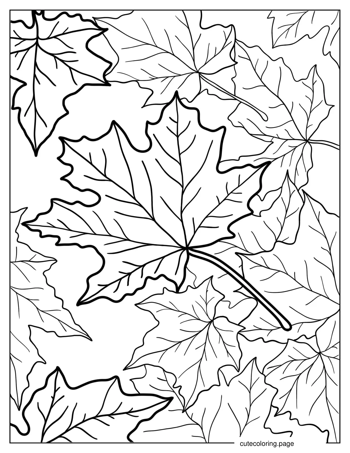 Full Page Fall Maple Leaves coloring page