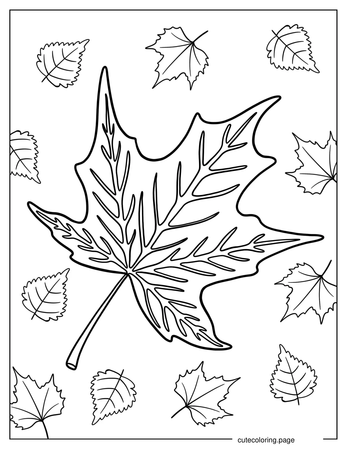 Realistic Maple Leaf In Fall Coloring Page coloring page