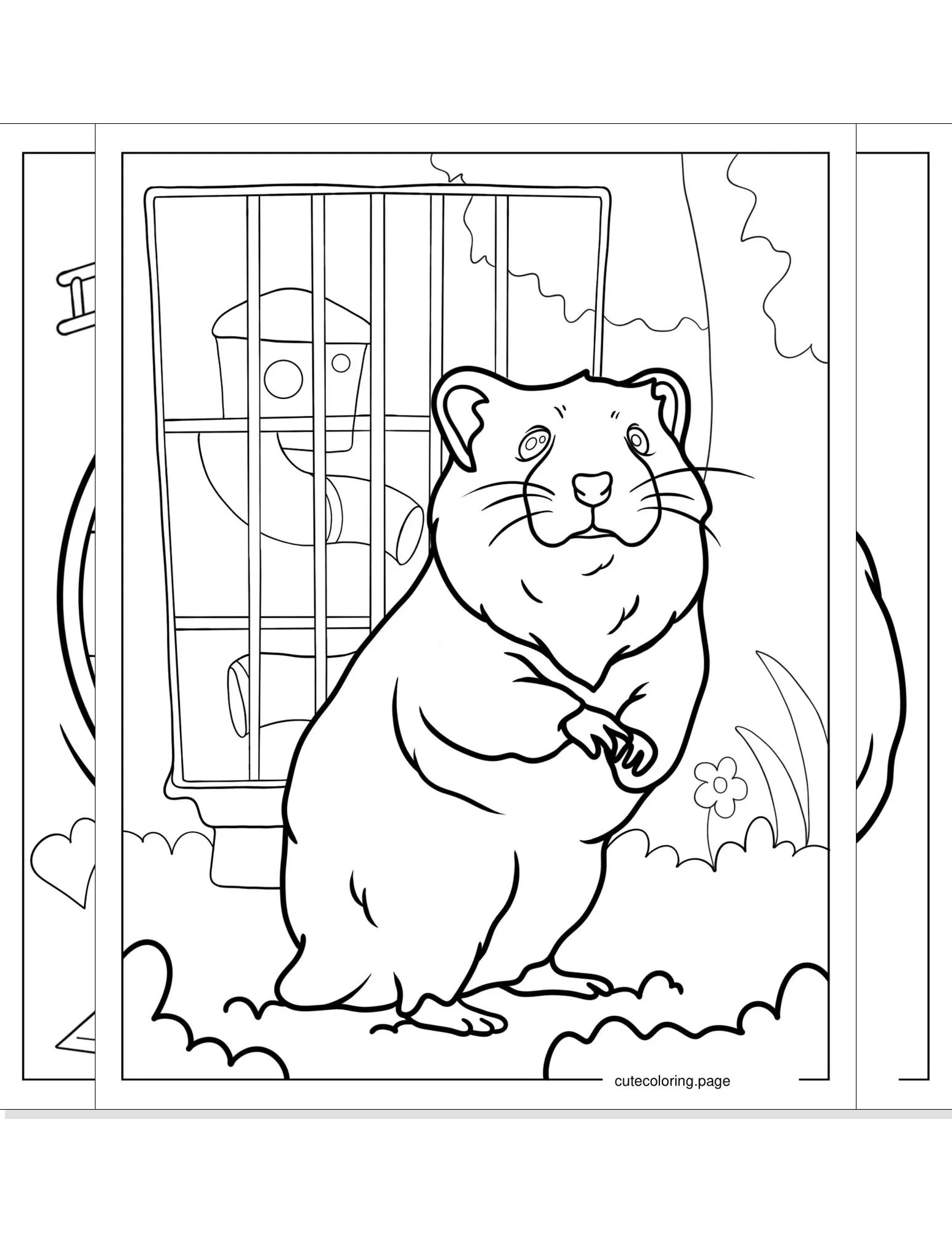 hamster coloring pages coloring page