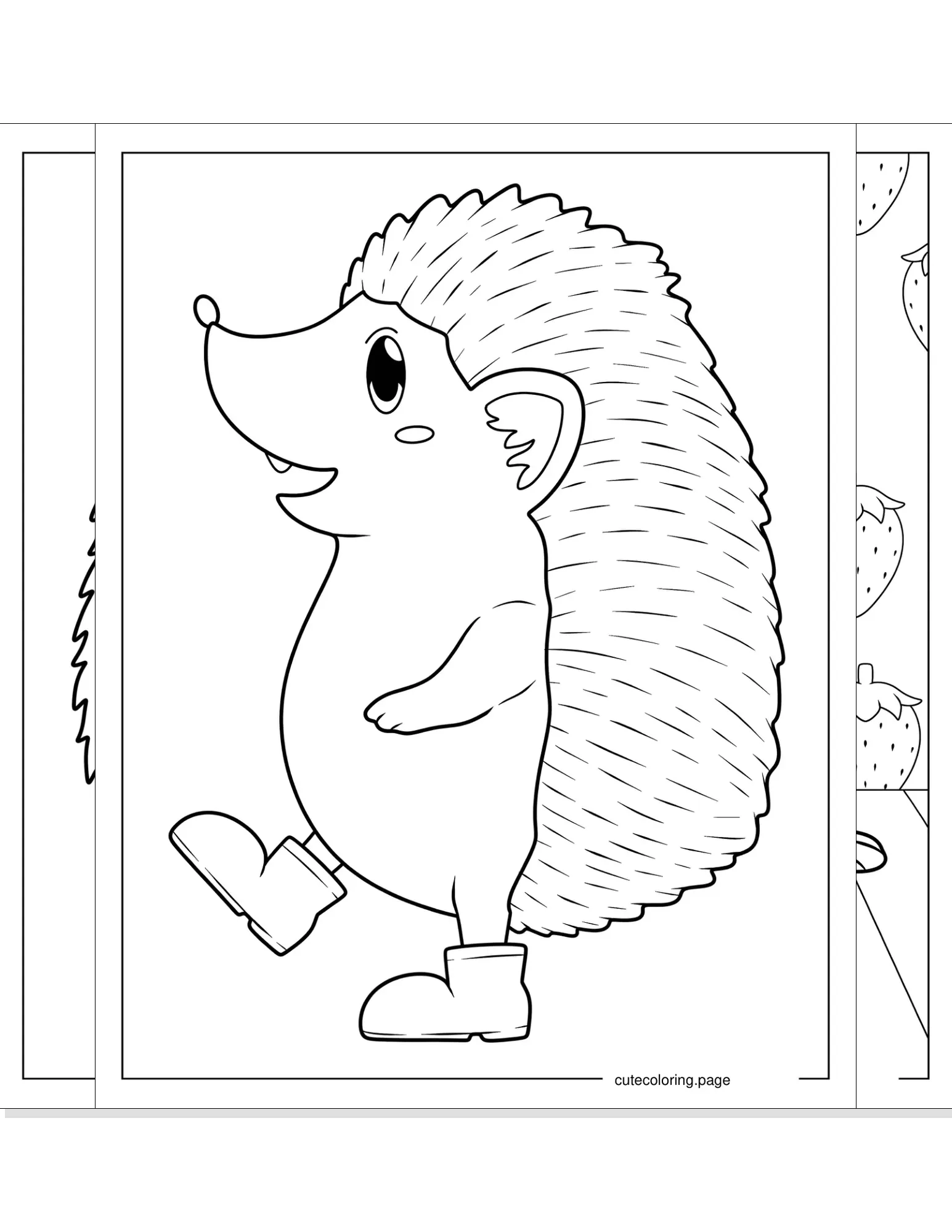 hedgehog coloring pages coloring page