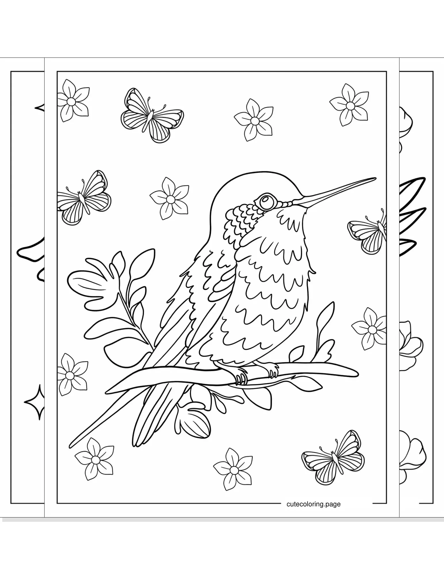 hummingbird coloring pages coloring page