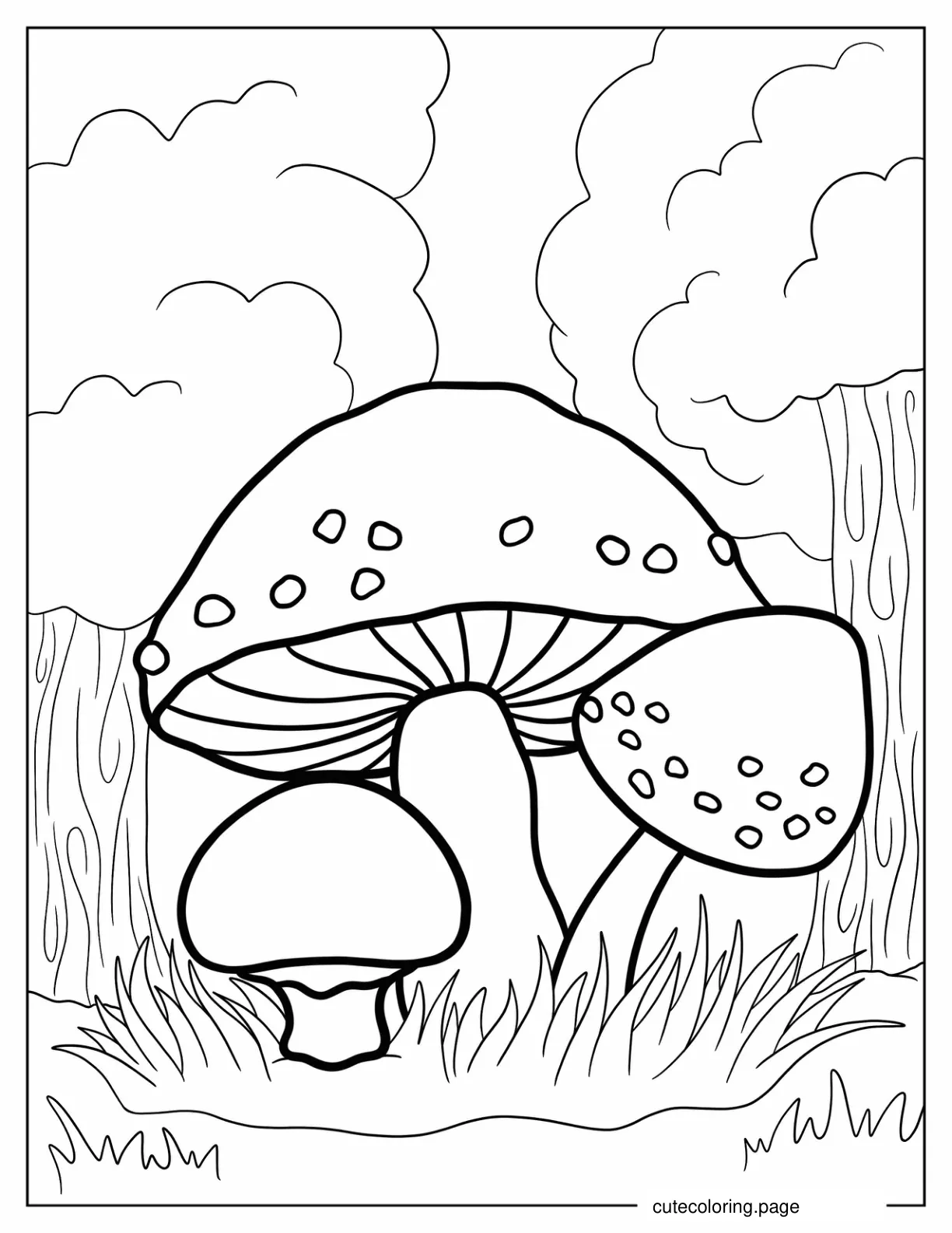 Assorted Mushrooms To Color coloring page