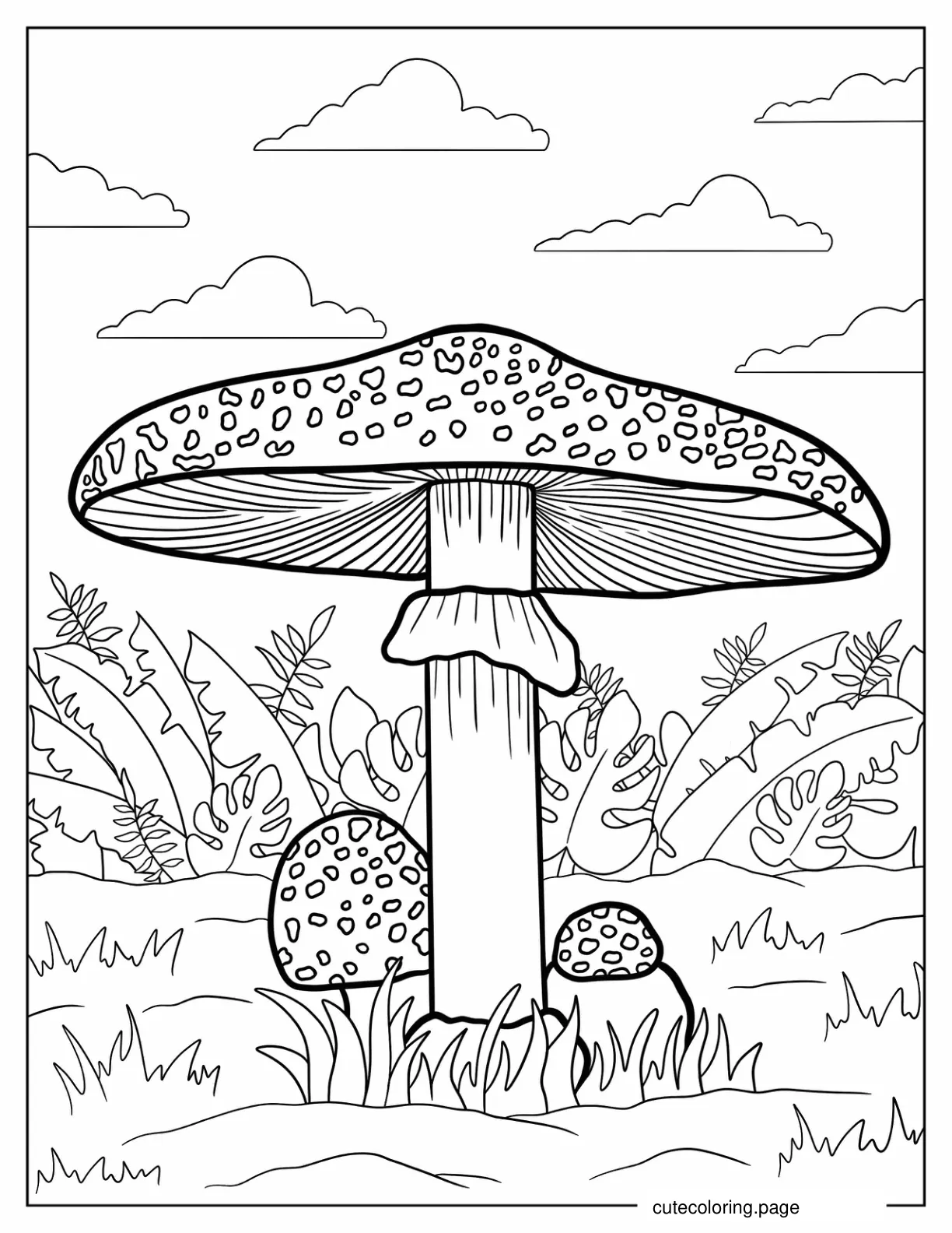 Fly Agaric Red And White Mushroom To Color coloring page