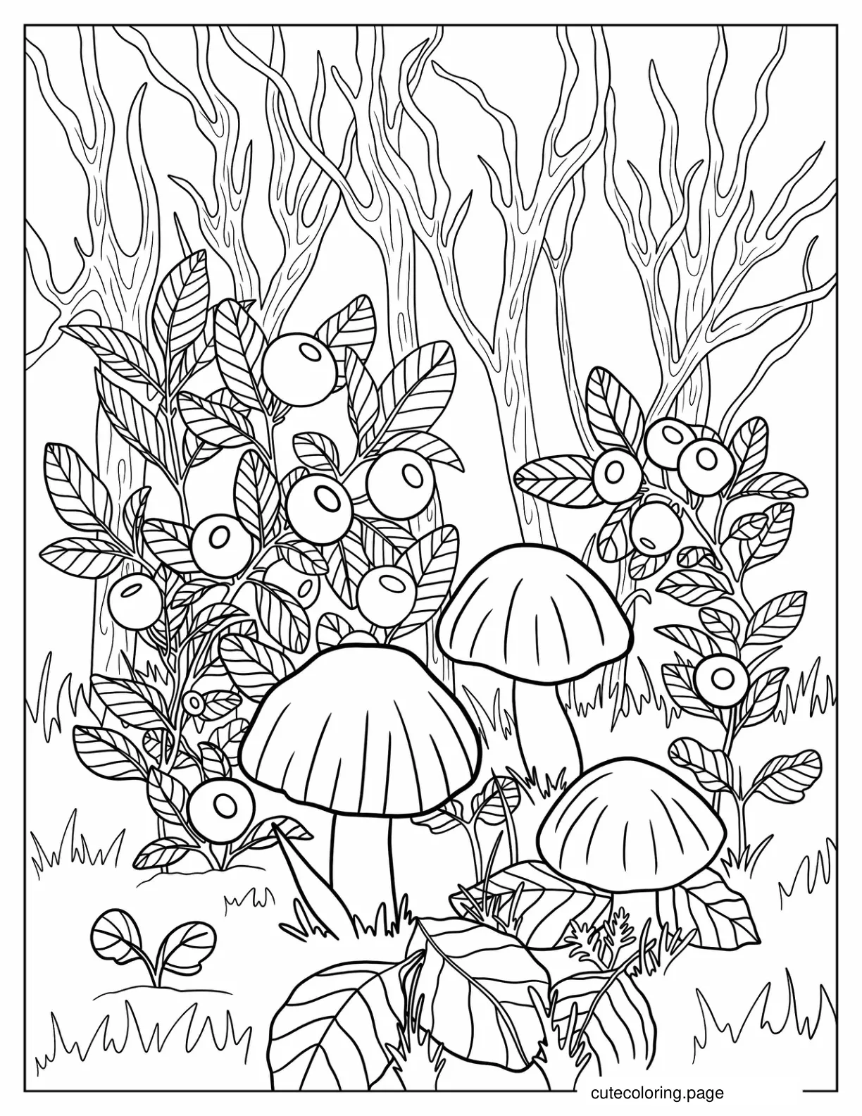 Mushrooms And Berries Growing In The Forrest coloring page