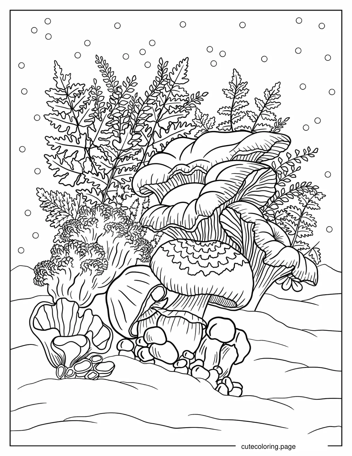 Various Mushroom And Fungus To Color coloring page