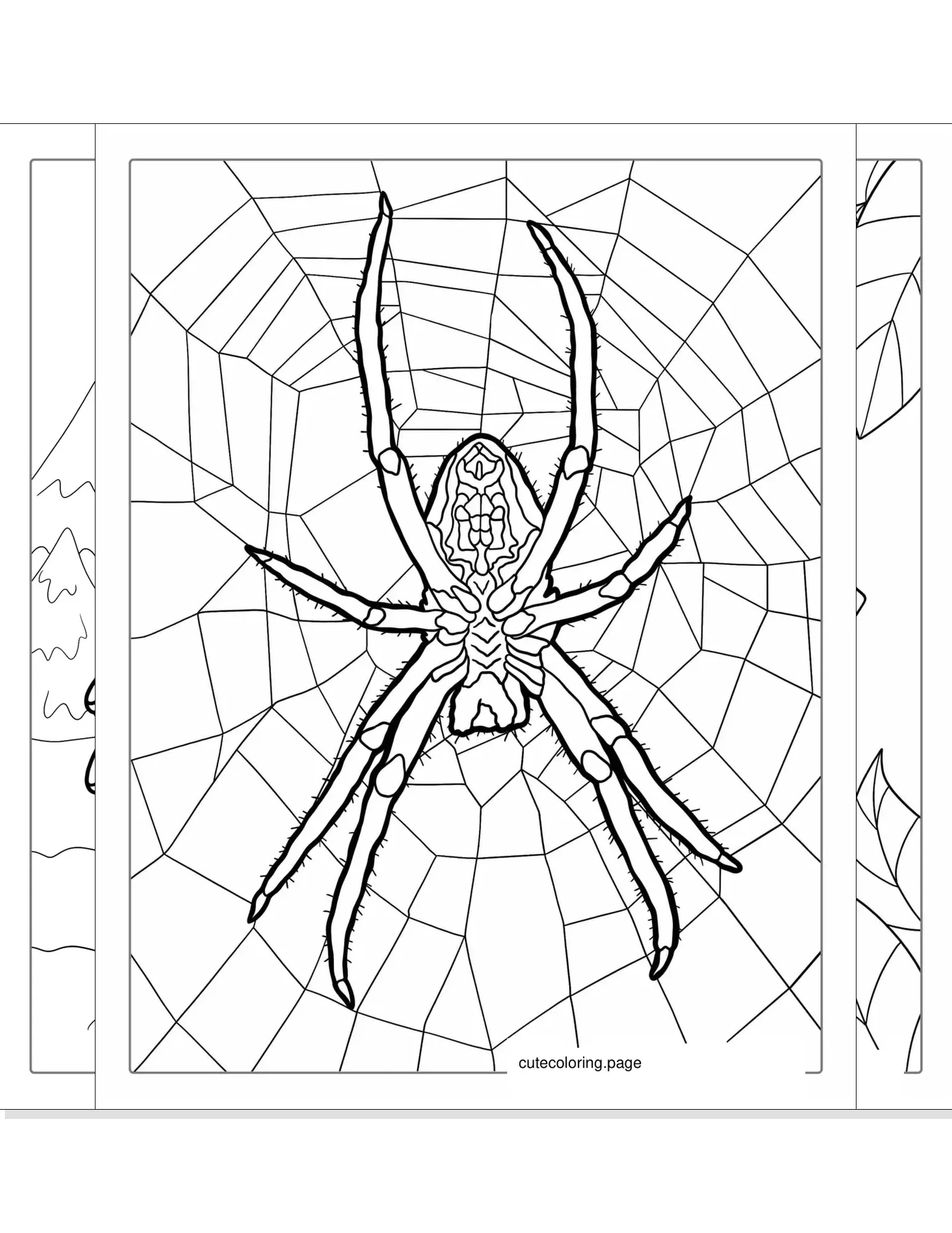 spider coloring pages coloring page