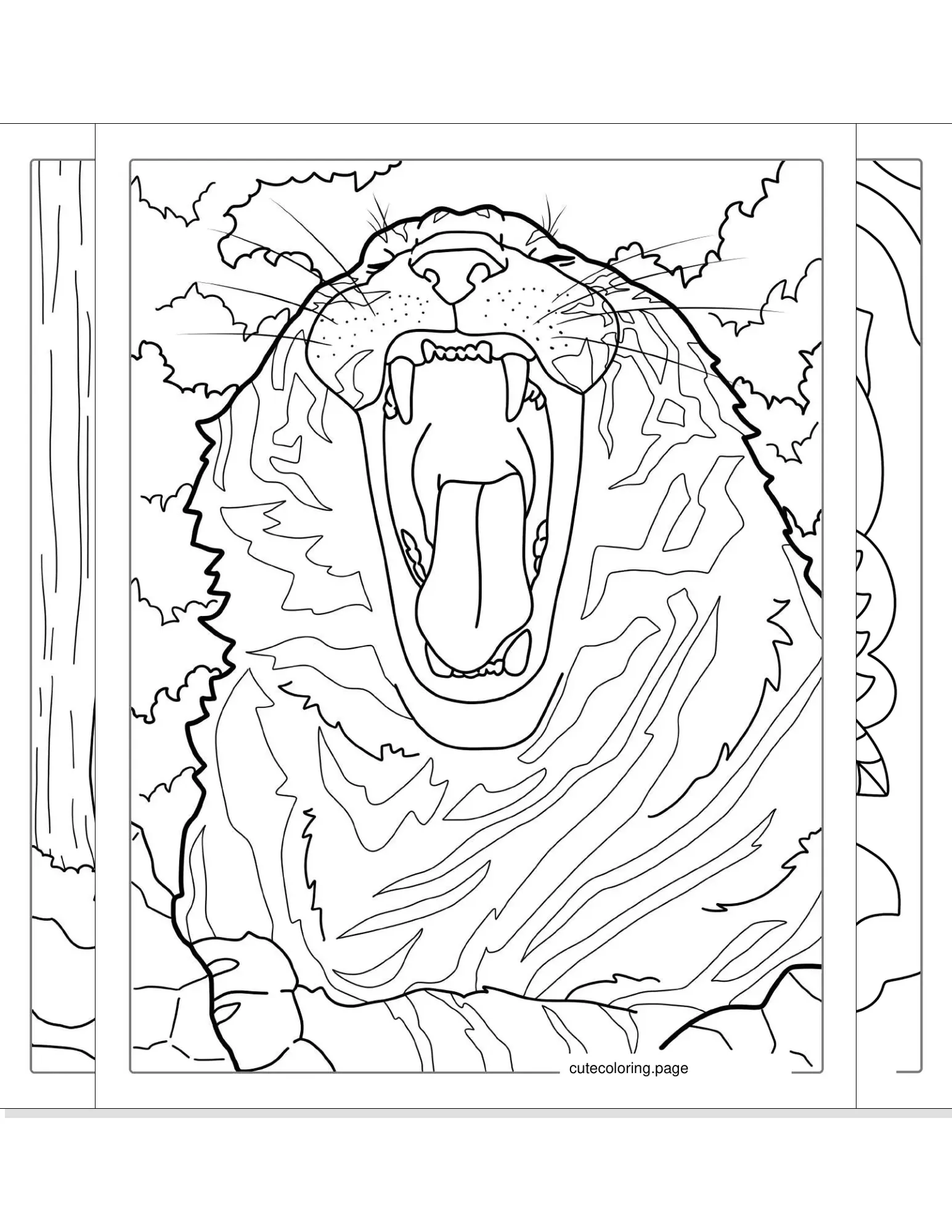 tiger coloring pages coloring page