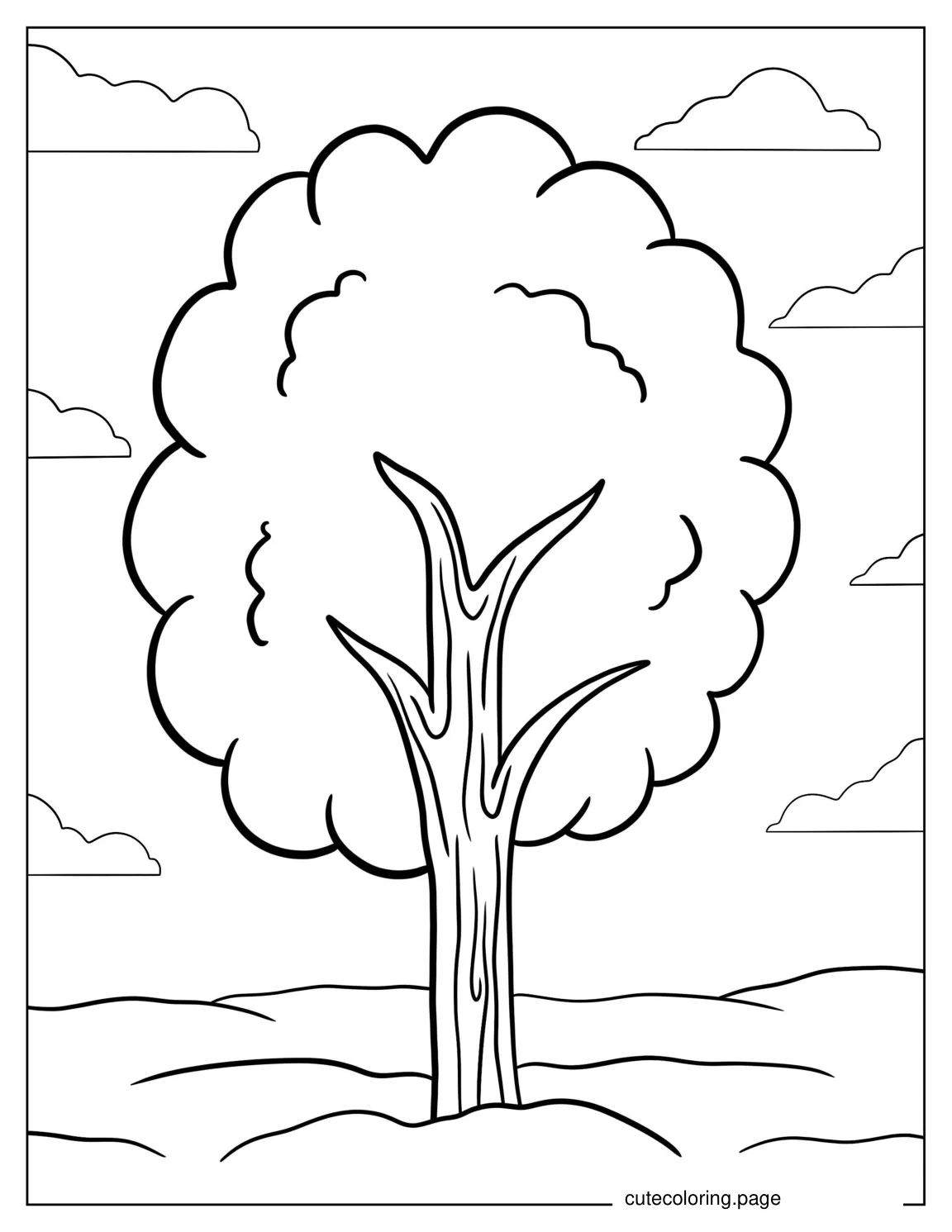 Bushy Tree Coloring Tree For Kids coloring page