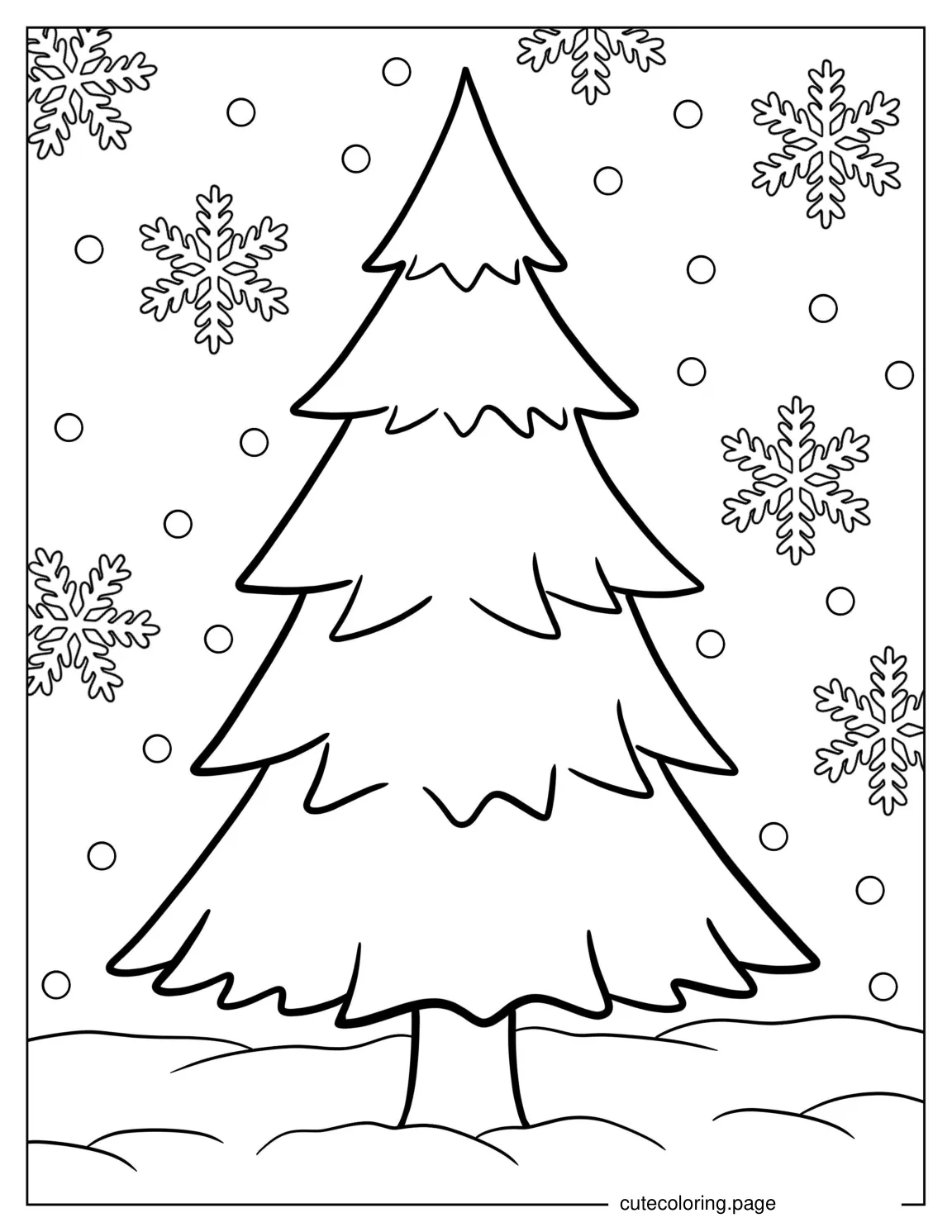 Easy Outline Of Pine Tree For Preschoolers coloring page