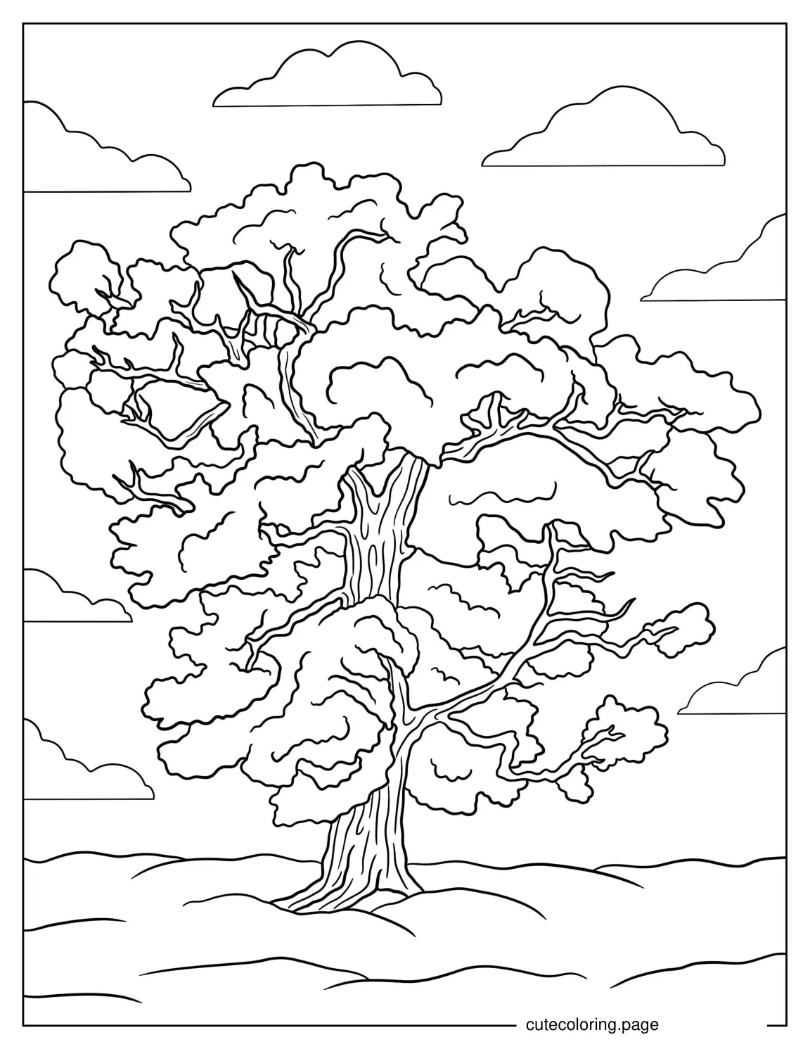 Huge Old Majestic Tree coloring page