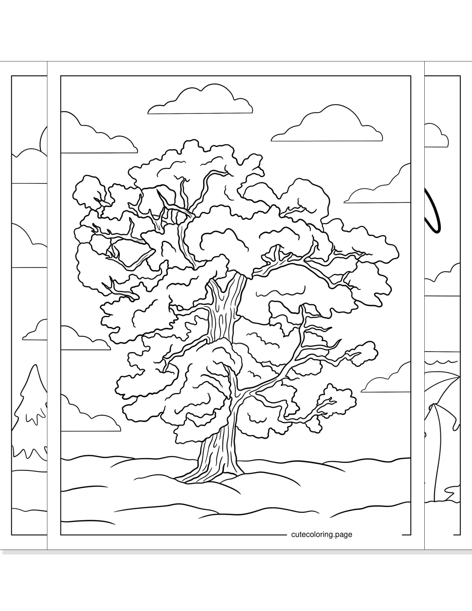 tree coloring pages coloring page