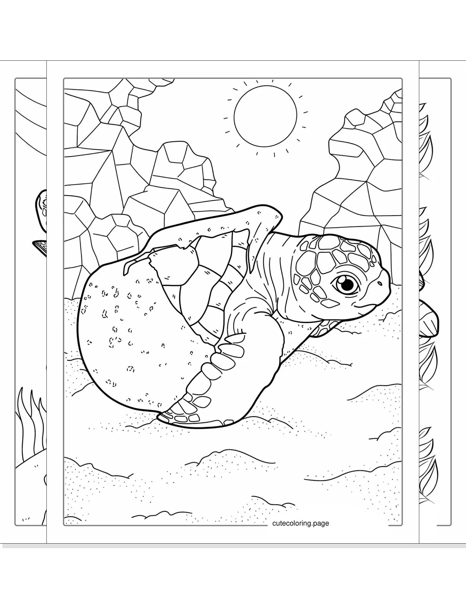 turtle coloring pages coloring page