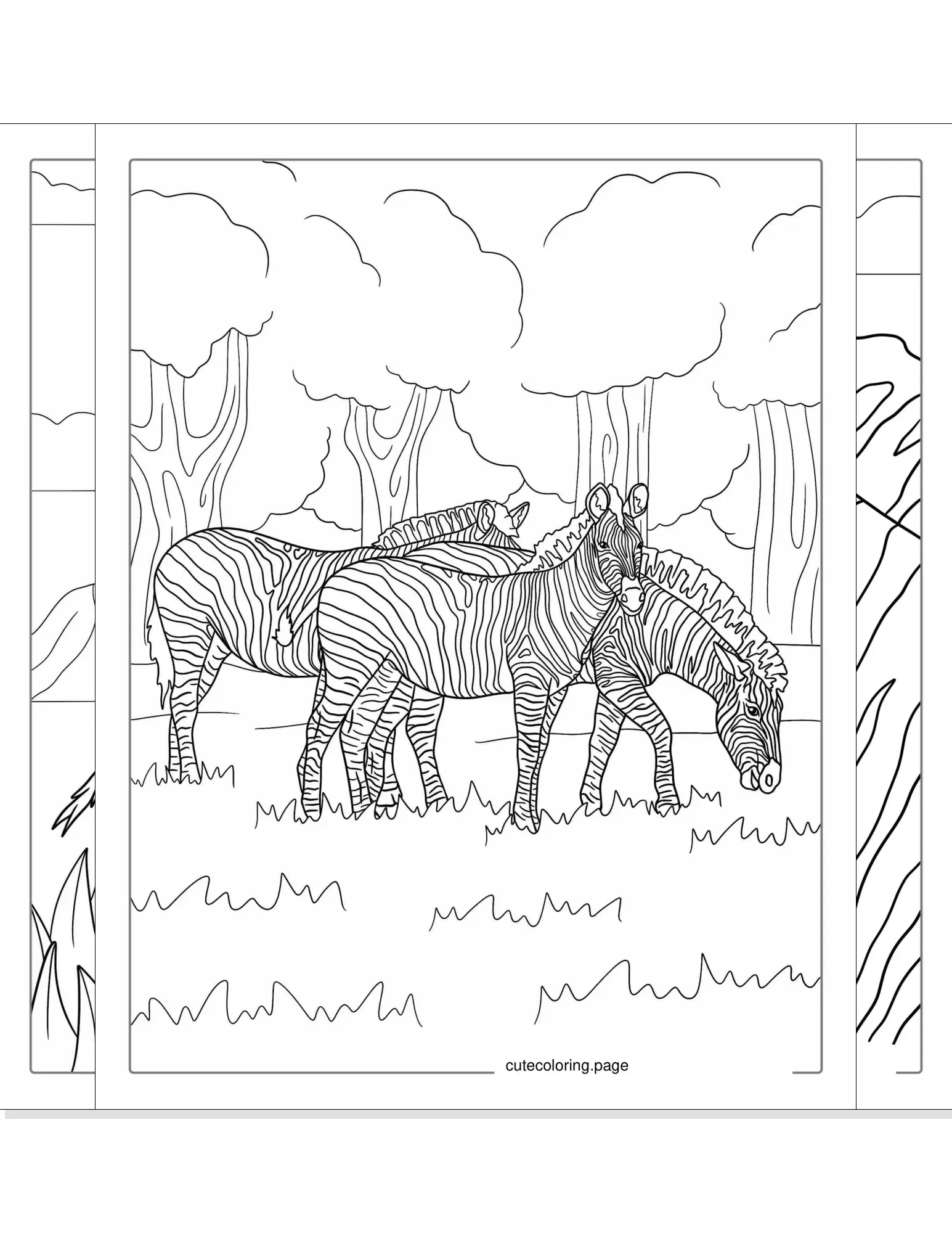 zebra coloring pages coloring page